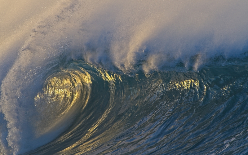 Dale Keth Beach Photography