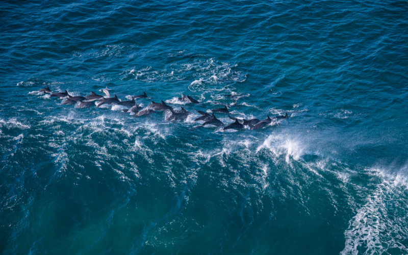 Dale Keth Beach Photography